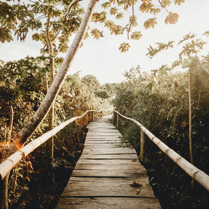 欧美一级婬妇喷水片
