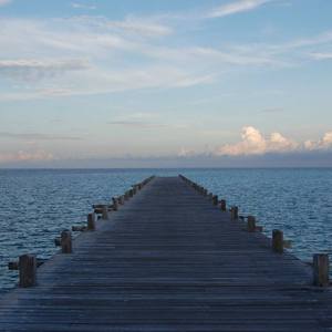 欧美一级婬妇喷水片
