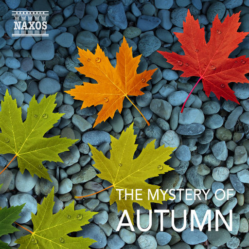 欧美一级婬妇喷水片
